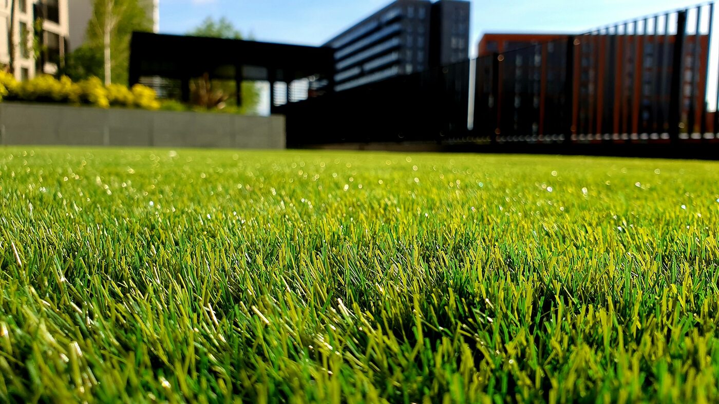 Sunlight on a green lawn; stock photography for a fictional demo